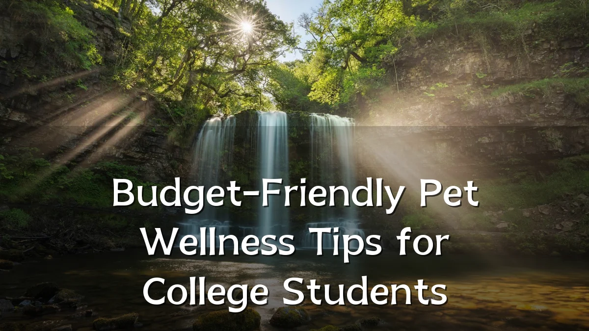 Budget-Friendly Pet Wellness Tips for College Students