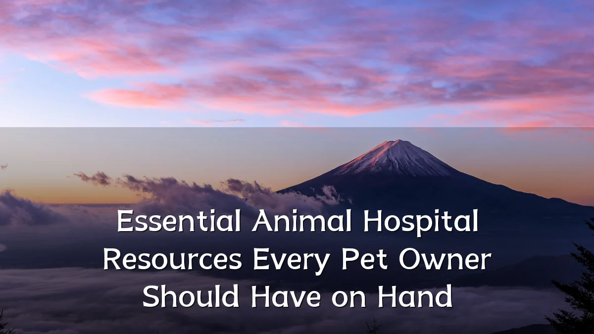 Essential Animal Hospital Resources Every Pet Owner Should Have on Hand