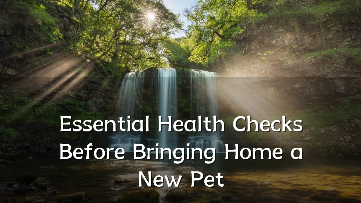 Essential Health Checks Before Bringing Home a New Pet