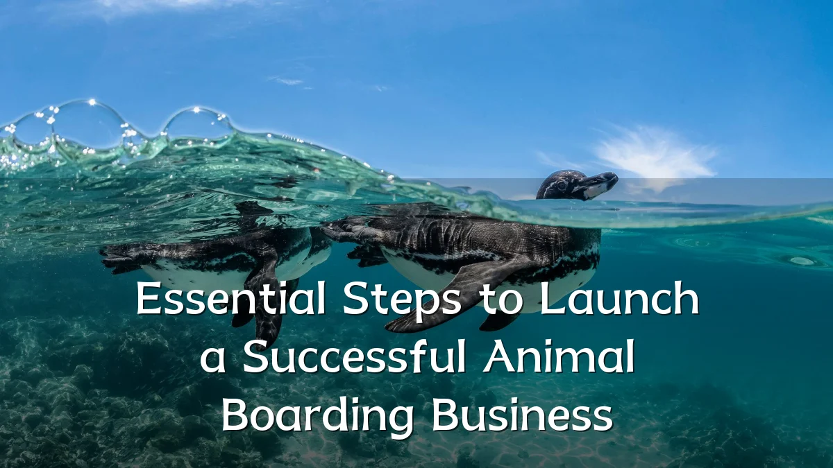 Essential Steps to Launch a Successful Animal Boarding Business