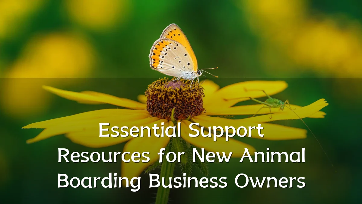 Essential Support Resources for New Animal Boarding Business Owners