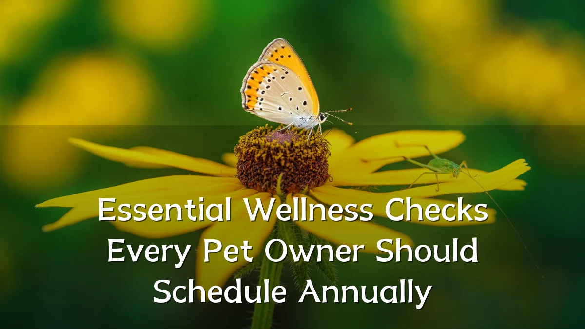 Essential Wellness Checks Every Pet Owner Should Schedule Annually