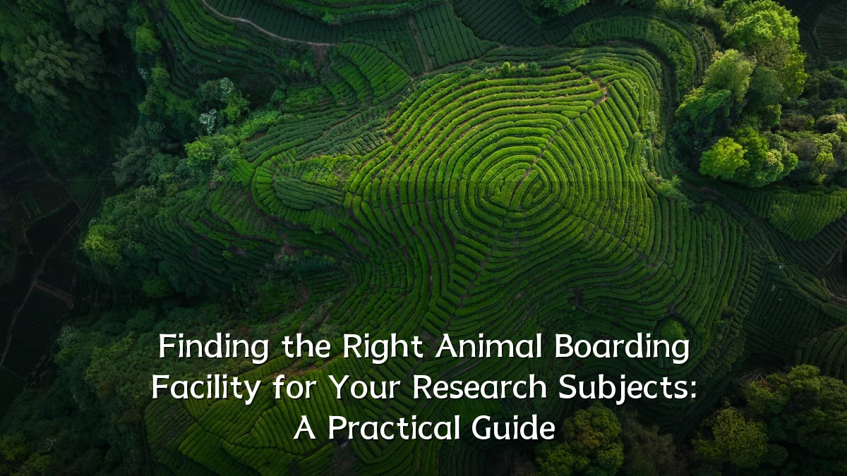 Finding the Right Animal Boarding Facility for Your Research Subjects: A Practical Guide