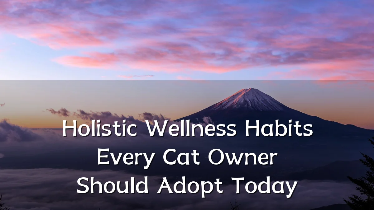 Holistic Wellness Habits Every Cat Owner Should Adopt Today