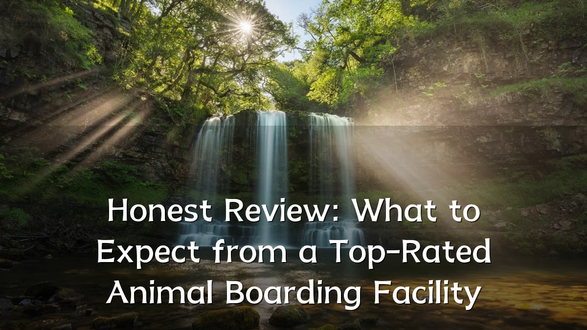 Honest Review: What to Expect from a Top-Rated Animal Boarding Facility