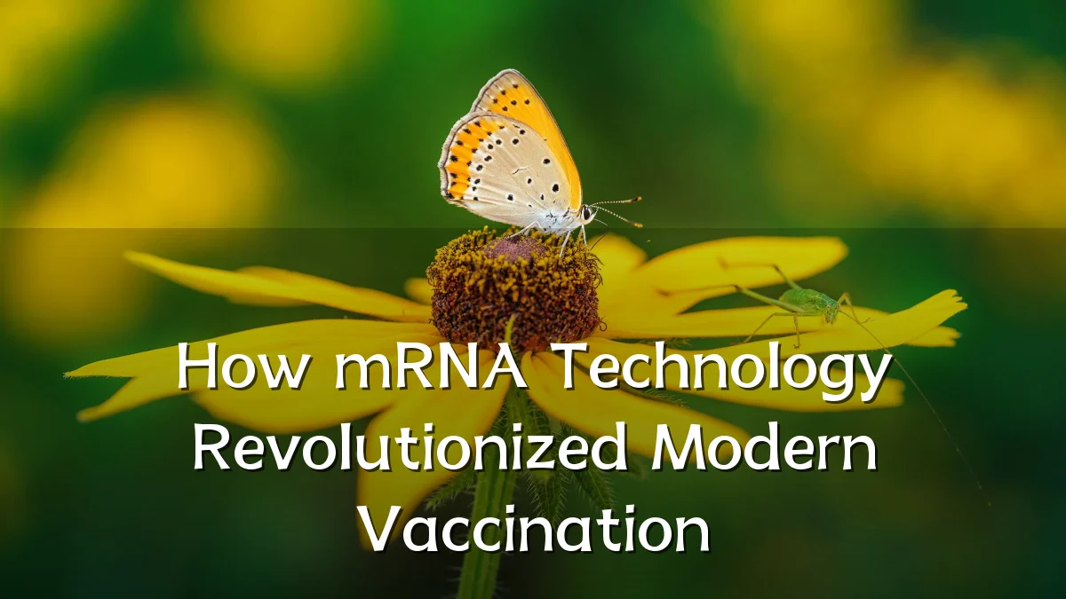 How mRNA Technology Revolutionized Modern Vaccination