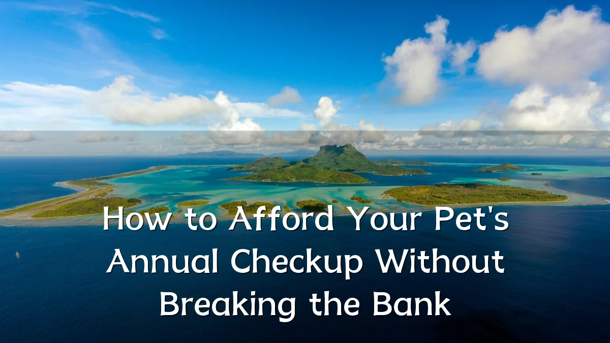 How to Afford Your Pet's Annual Checkup Without Breaking the Bank