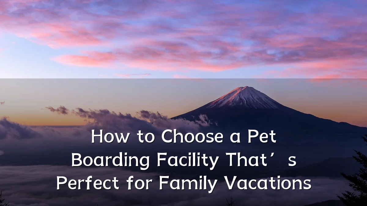 How to Choose a Pet Boarding Facility That’s Perfect for Family Vacations