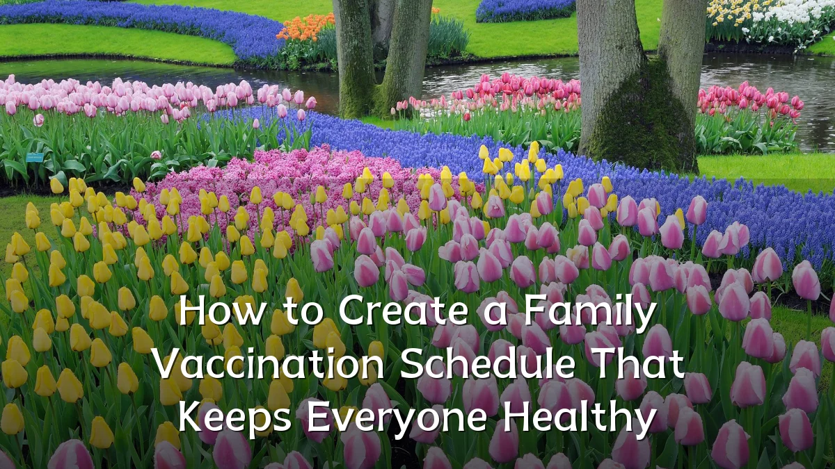 How to Create a Family Vaccination Schedule That Keeps Everyone Healthy