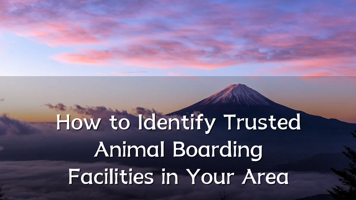 How to Identify Trusted Animal Boarding Facilities in Your Area