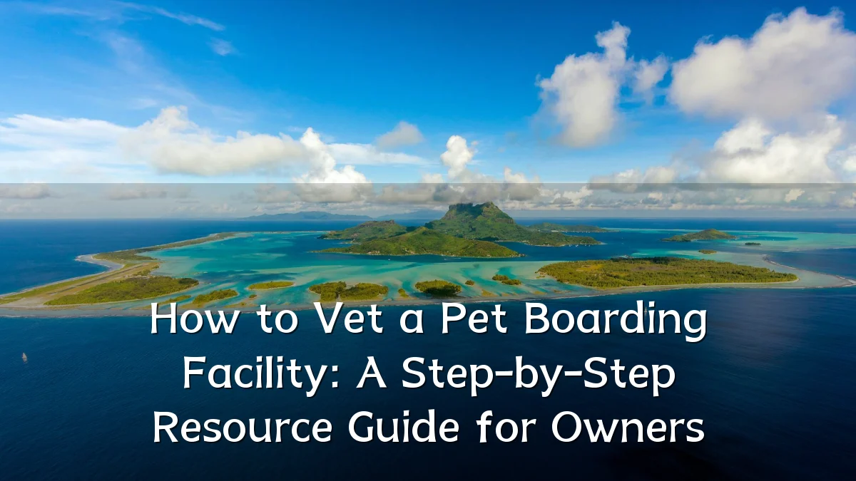 How to Vet a Pet Boarding Facility: A Step-by-Step Resource Guide for Owners