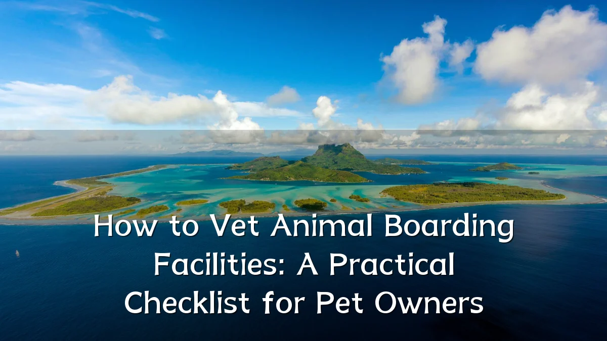 How to Vet Animal Boarding Facilities: A Practical Checklist for Pet Owners
