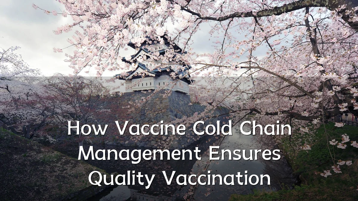 How Vaccine Cold Chain Management Ensures Quality Vaccination