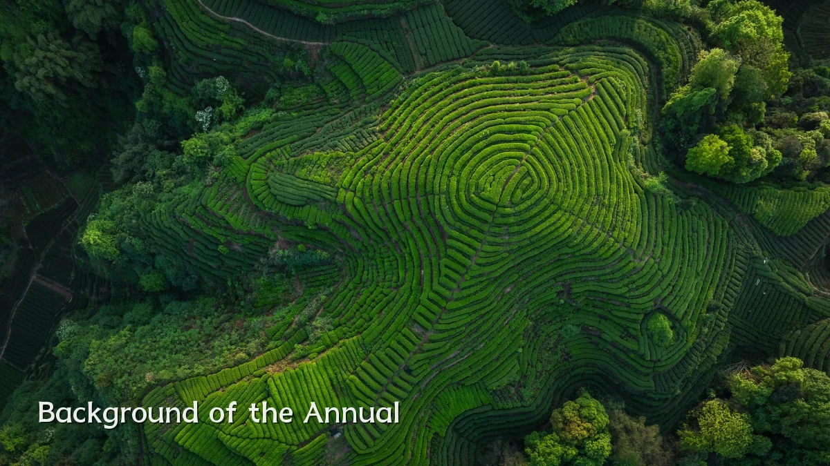 Background of the Annual