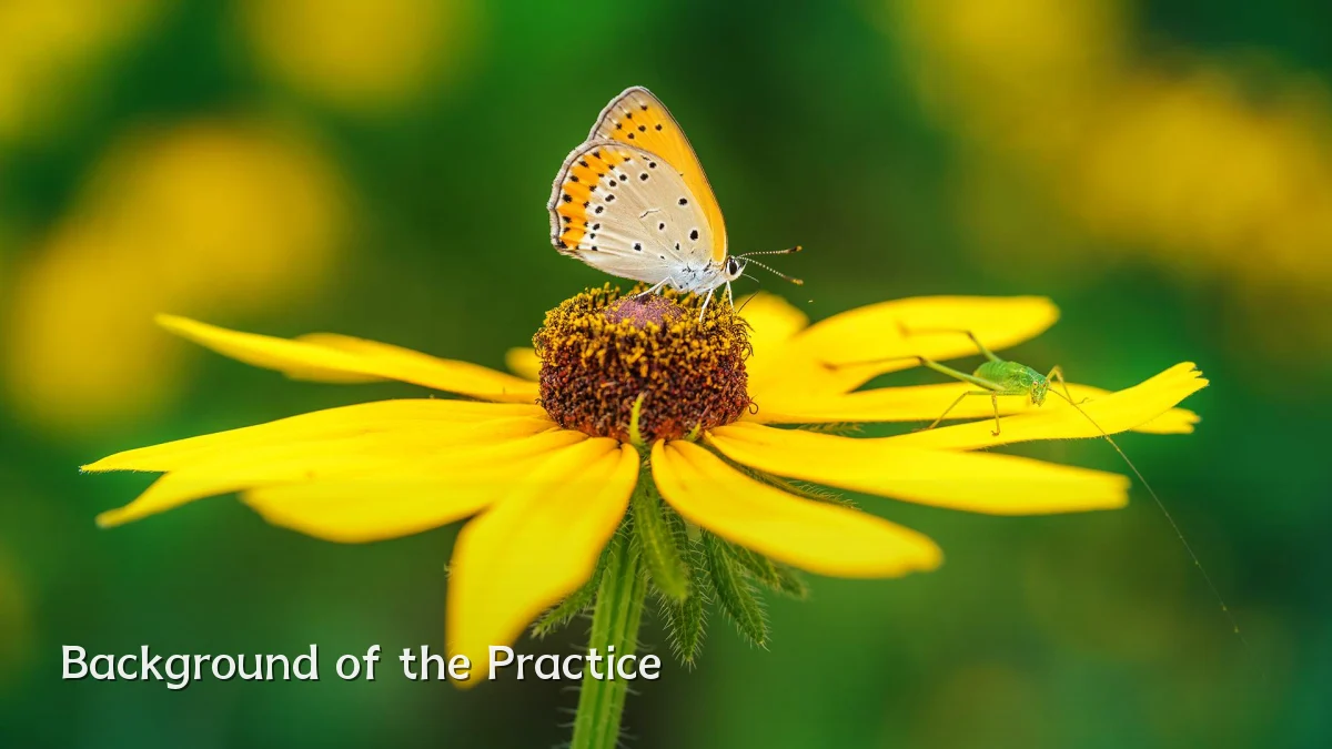 Background of the Practice