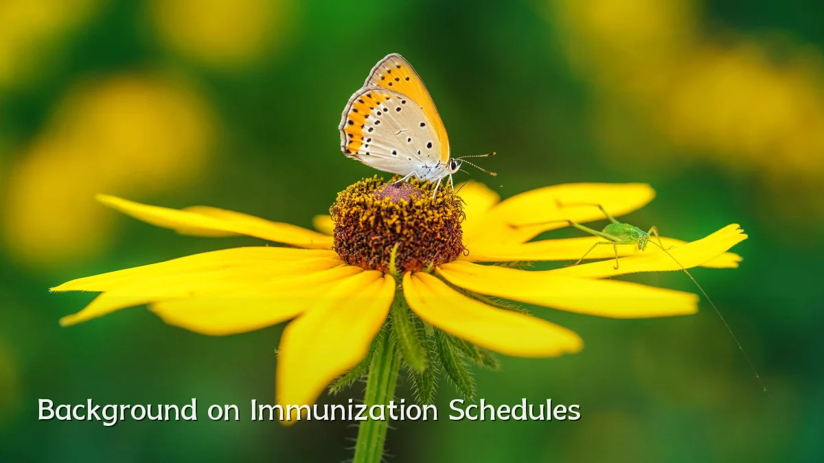 Background on Immunization Schedules