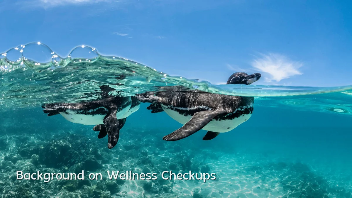 Background on Wellness Checkups