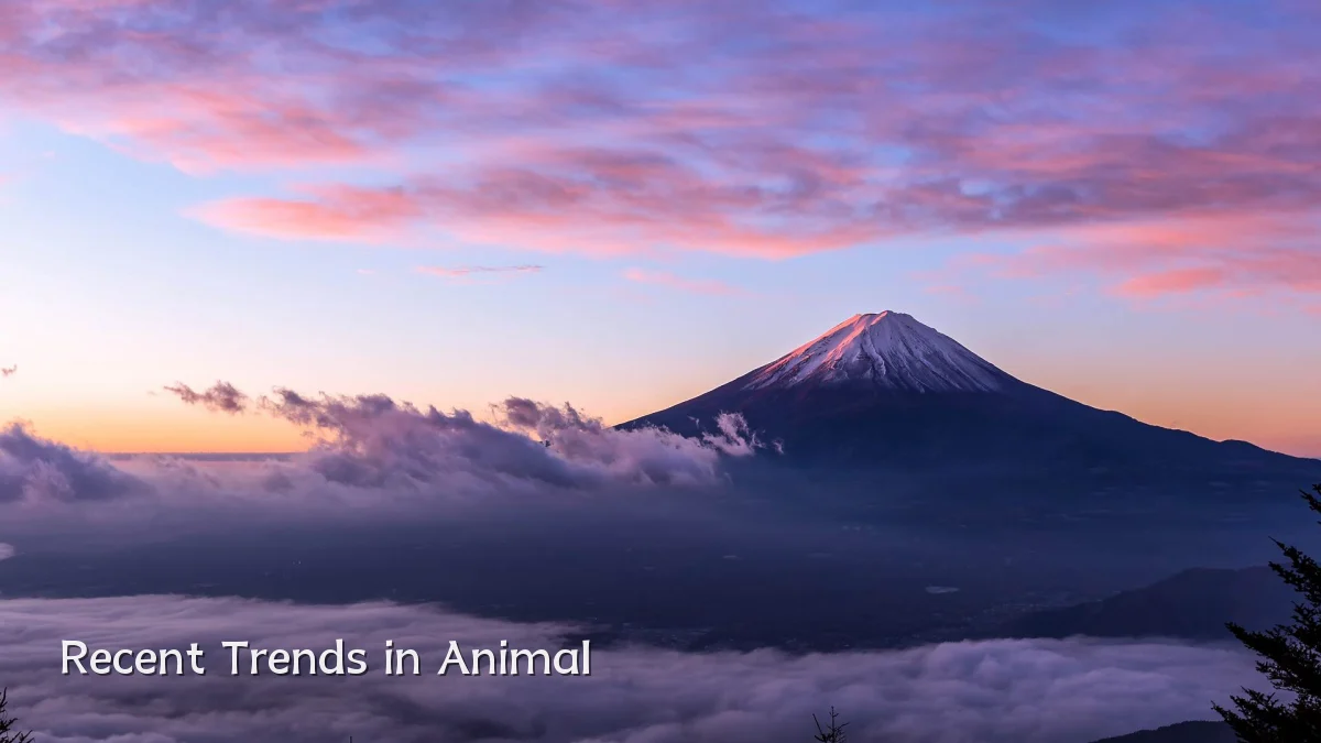 Recent Trends in Animal