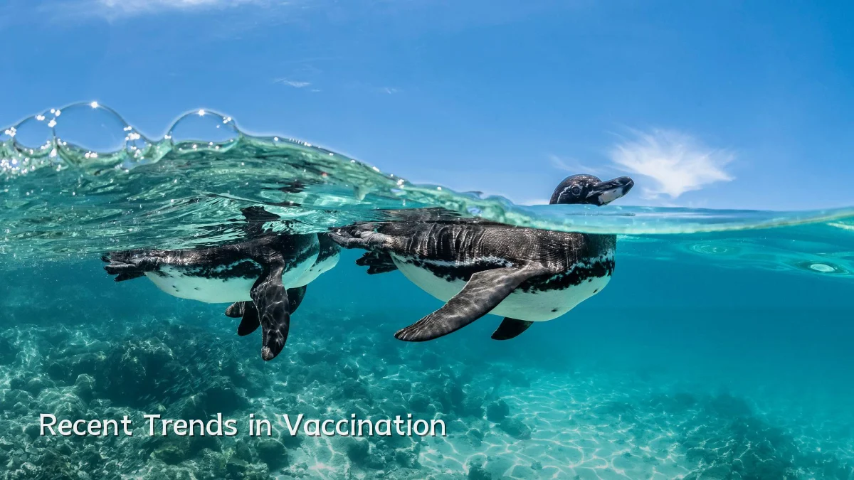 Recent Trends in Vaccination