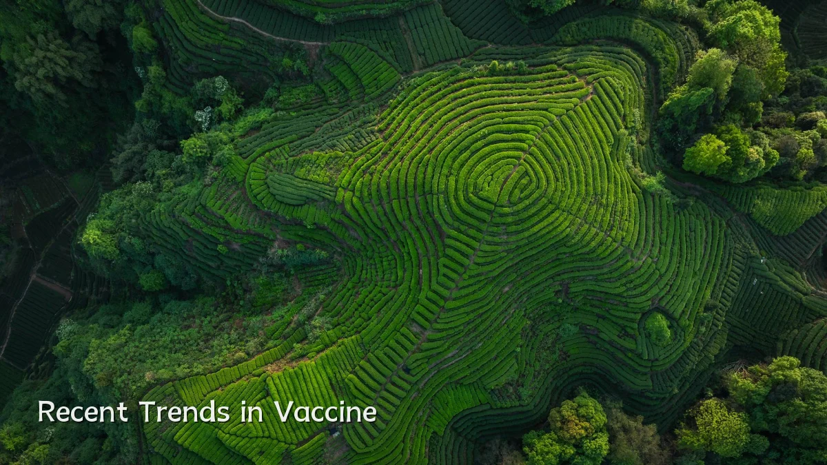 Recent Trends in Vaccine