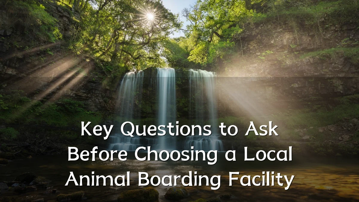 Key Questions to Ask Before Choosing a Local Animal Boarding Facility