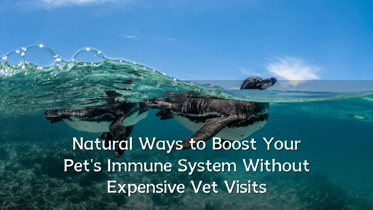 Natural Ways to Boost Your Pet's Immune System Without Expensive Vet Visits