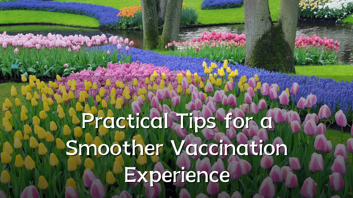 Practical Tips for a Smoother Vaccination Experience