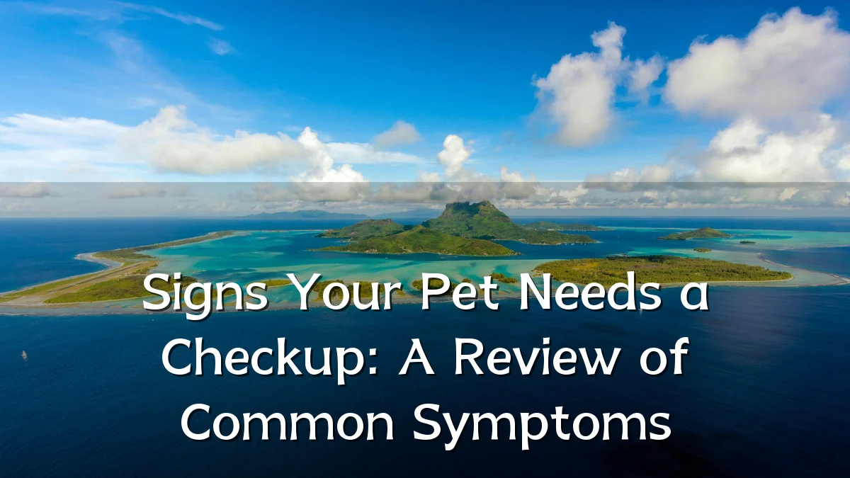 Signs Your Pet Needs a Checkup: A Review of Common Symptoms