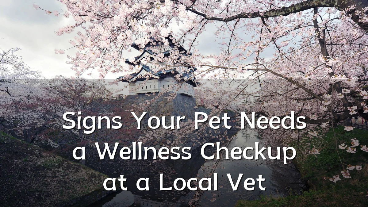 Signs Your Pet Needs a Wellness Checkup at a Local Vet