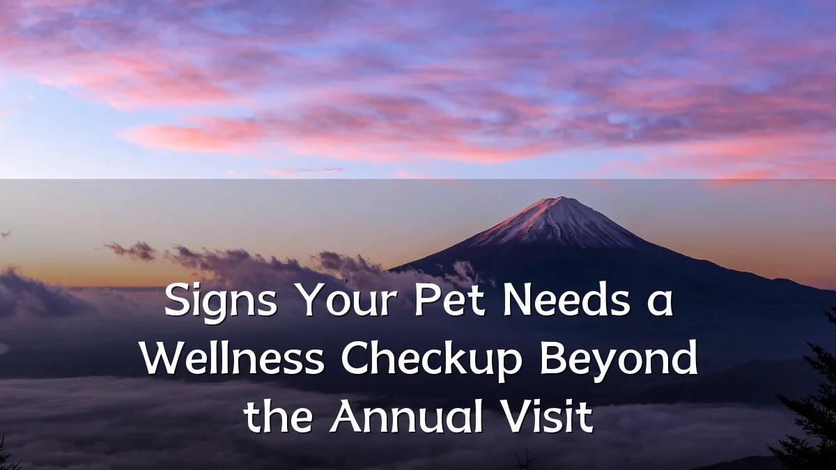 Signs Your Pet Needs a Wellness Checkup Beyond the Annual Visit