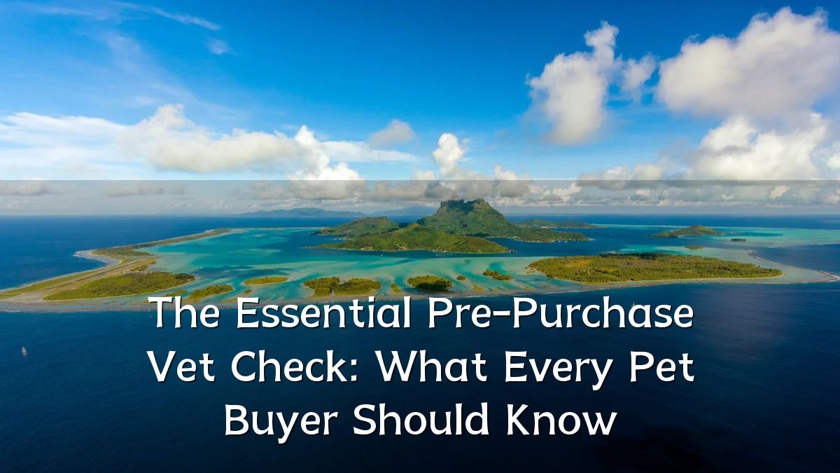 The Essential Pre-Purchase Vet Check: What Every Pet Buyer Should Know