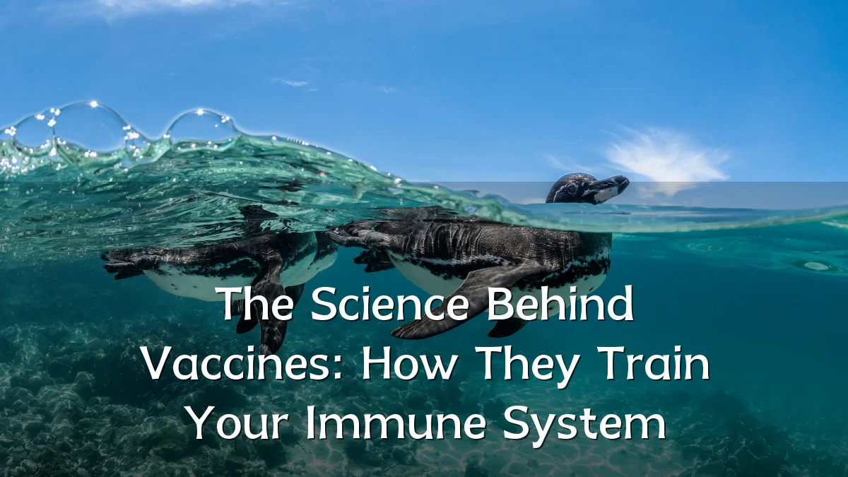 The Science Behind Vaccines: How They Train Your Immune System
