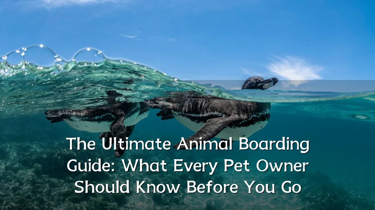 The Ultimate Animal Boarding Guide: What Every Pet Owner Should Know Before You Go