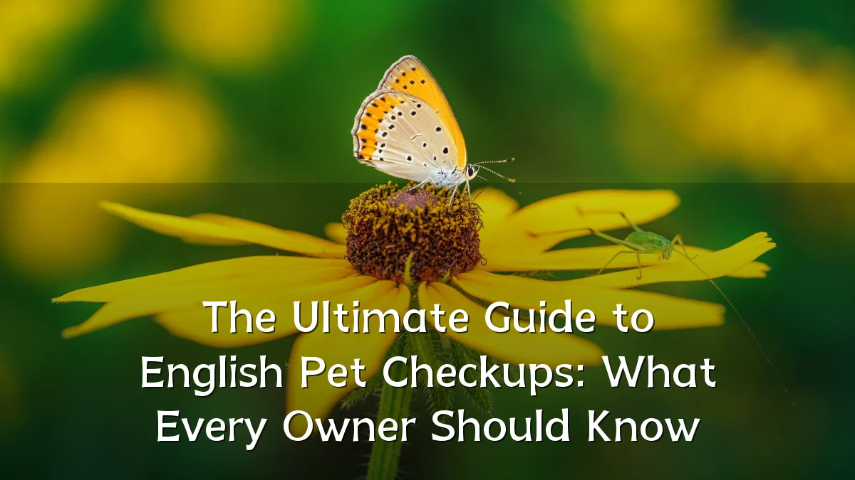The Ultimate Guide to English Pet Checkups: What Every Owner Should Know