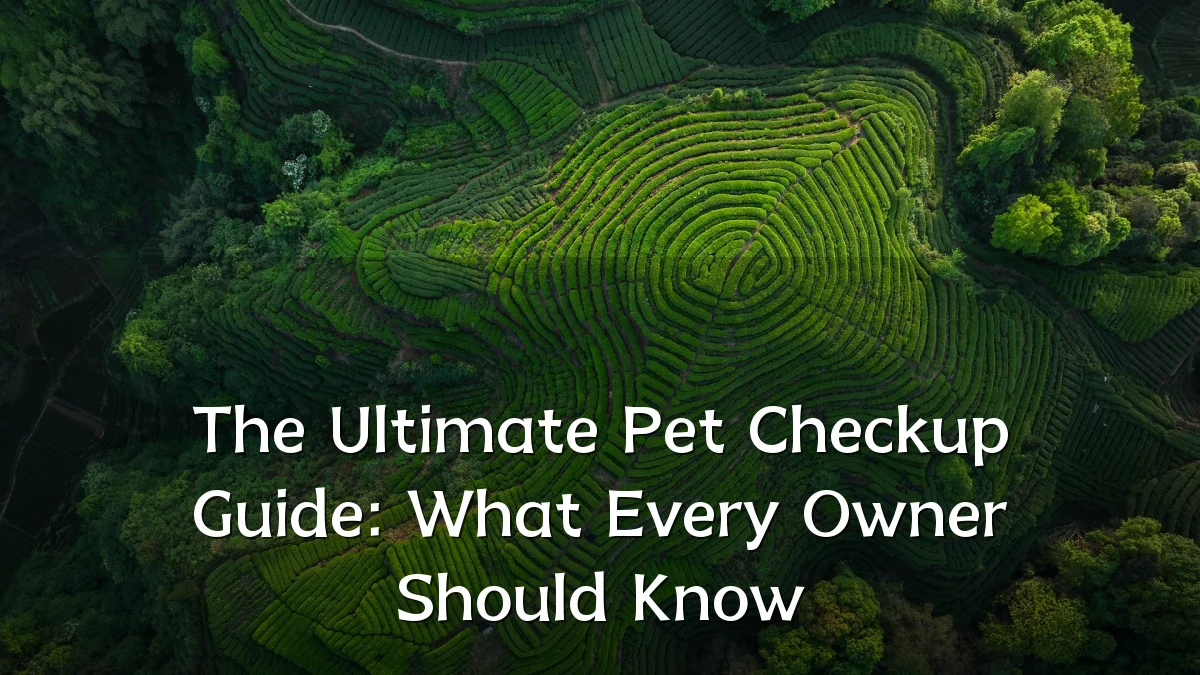 The Ultimate Pet Checkup Guide: What Every Owner Should Know