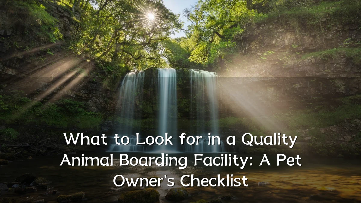What to Look for in a Quality Animal Boarding Facility: A Pet Owner's Checklist