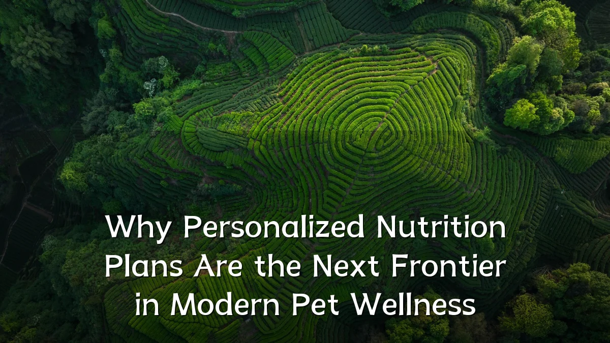 Why Personalized Nutrition Plans Are the Next Frontier in Modern Pet Wellness