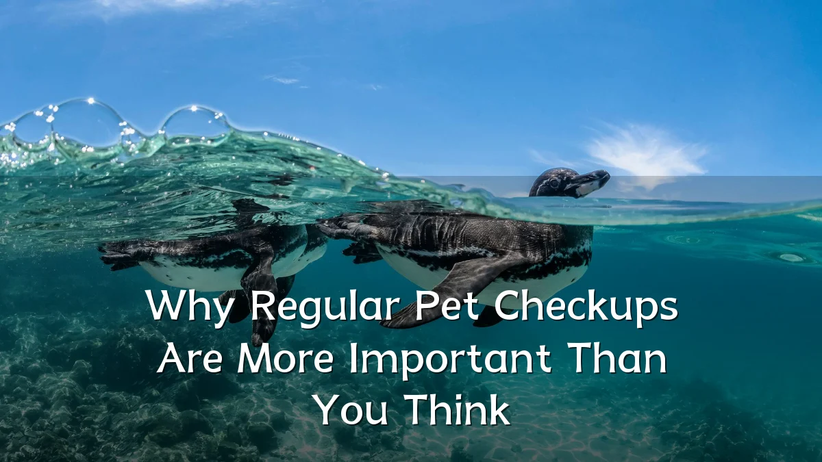 Why Regular Pet Checkups Are More Important Than You Think