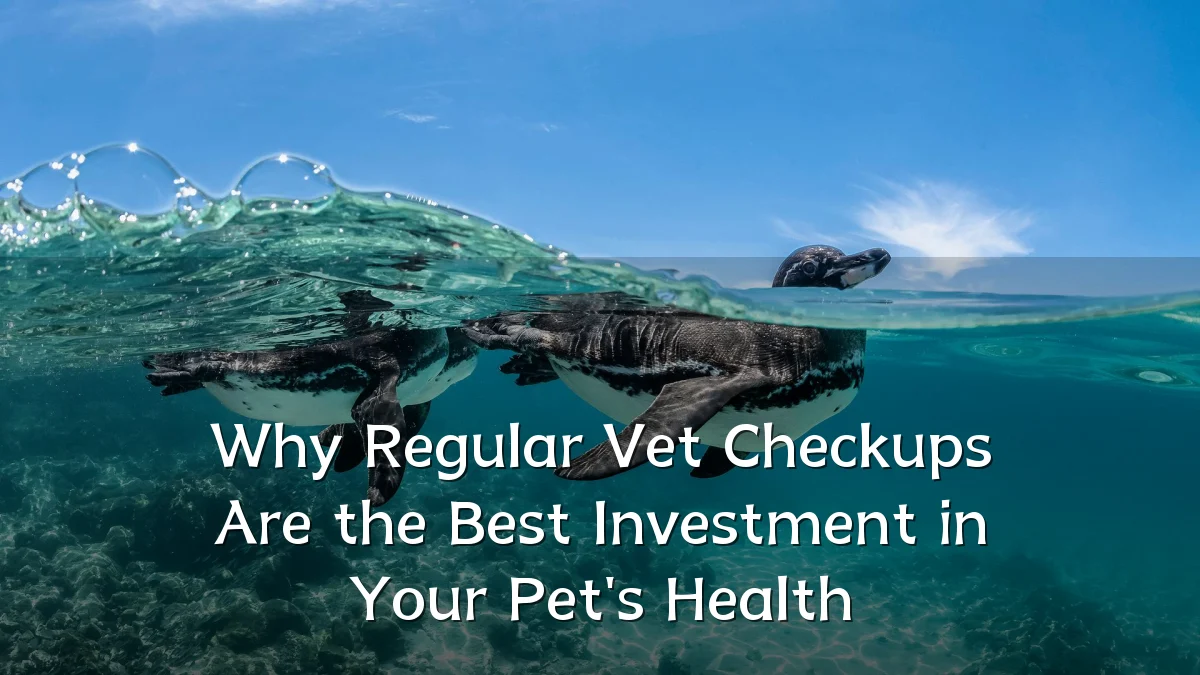 Why Regular Vet Checkups Are the Best Investment in Your Pet's Health