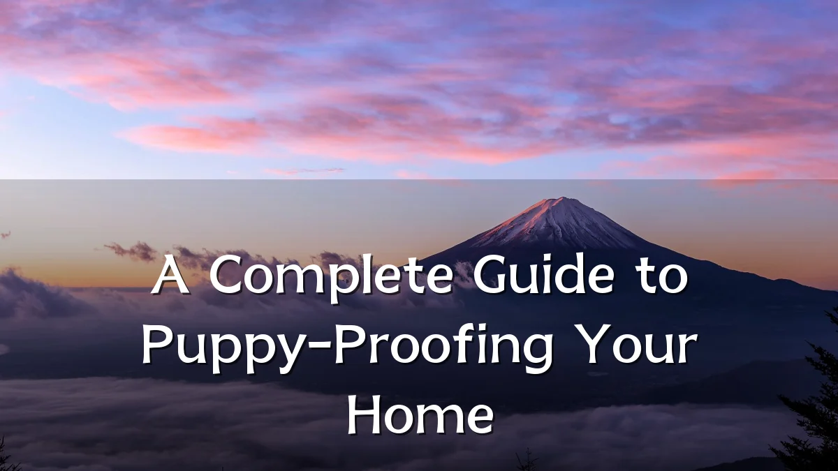 A Complete Guide to Puppy-Proofing Your Home