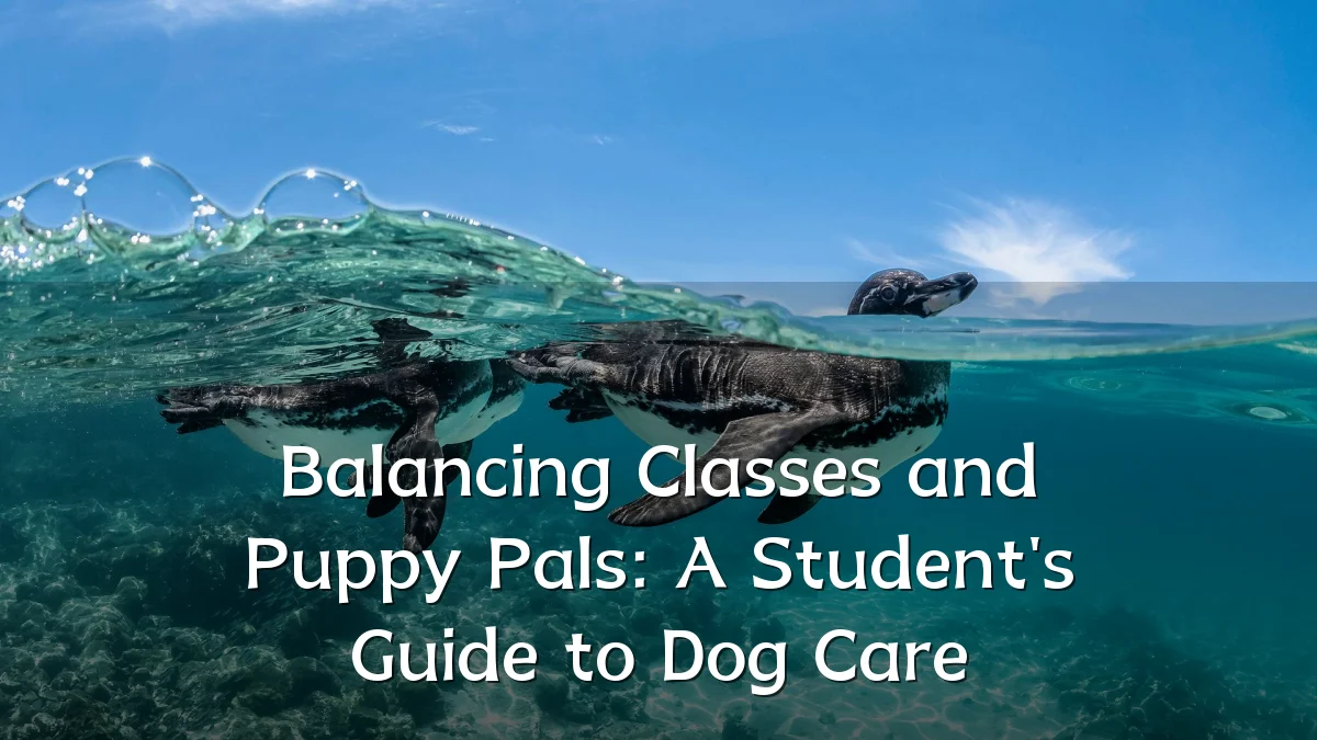 Balancing Classes and Puppy Pals: A Student's Guide to Dog Care