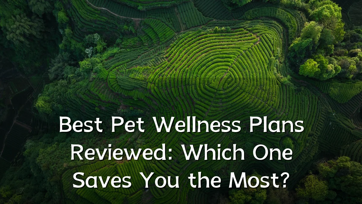 Best Pet Wellness Plans Reviewed: Which One Saves You the Most?