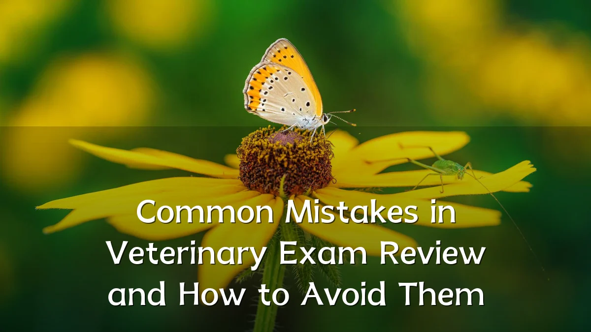 Common Mistakes in Veterinary Exam Review and How to Avoid Them