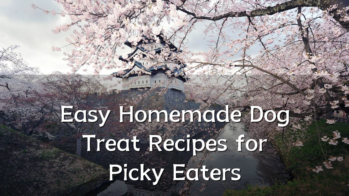 Easy Homemade Dog Treat Recipes for Picky Eaters