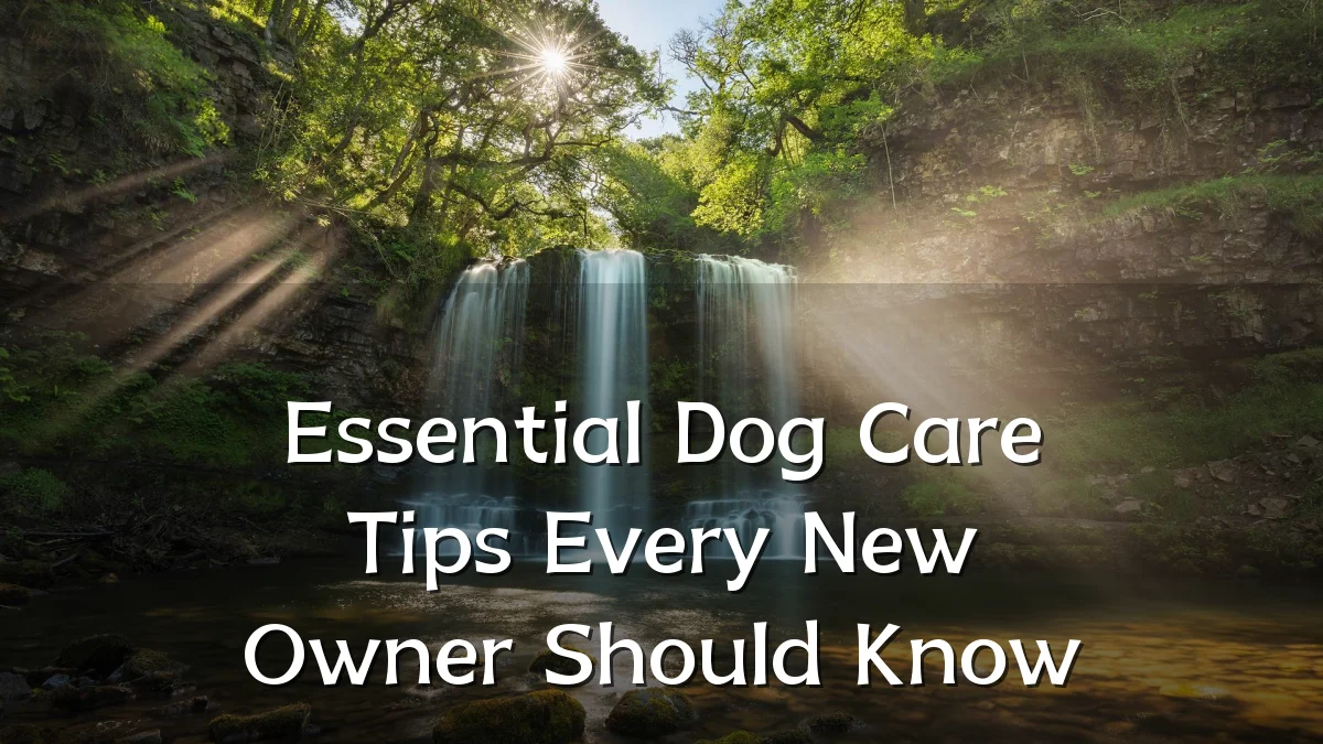 Essential Dog Care Tips Every New Owner Should Know