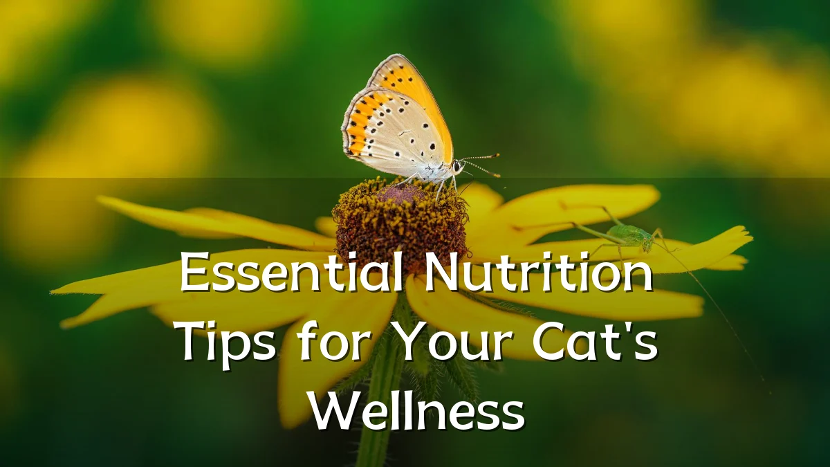 Essential Nutrition Tips for Your Cat's Wellness