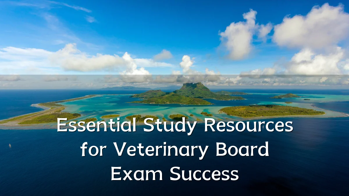 Essential Study Resources for Veterinary Board Exam Success