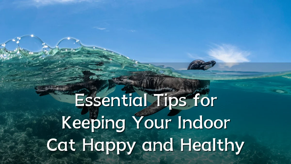 Essential Tips for Keeping Your Indoor Cat Happy and Healthy