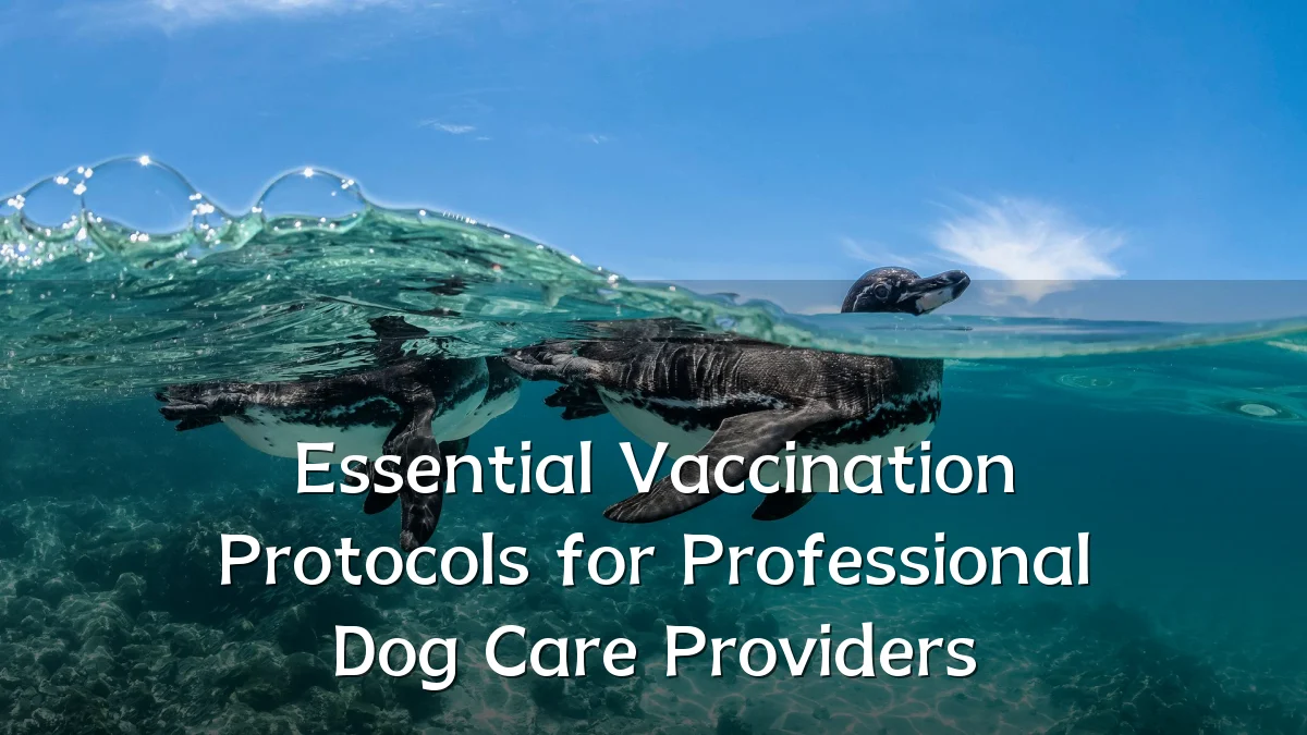 Essential Vaccination Protocols for Professional Dog Care Providers