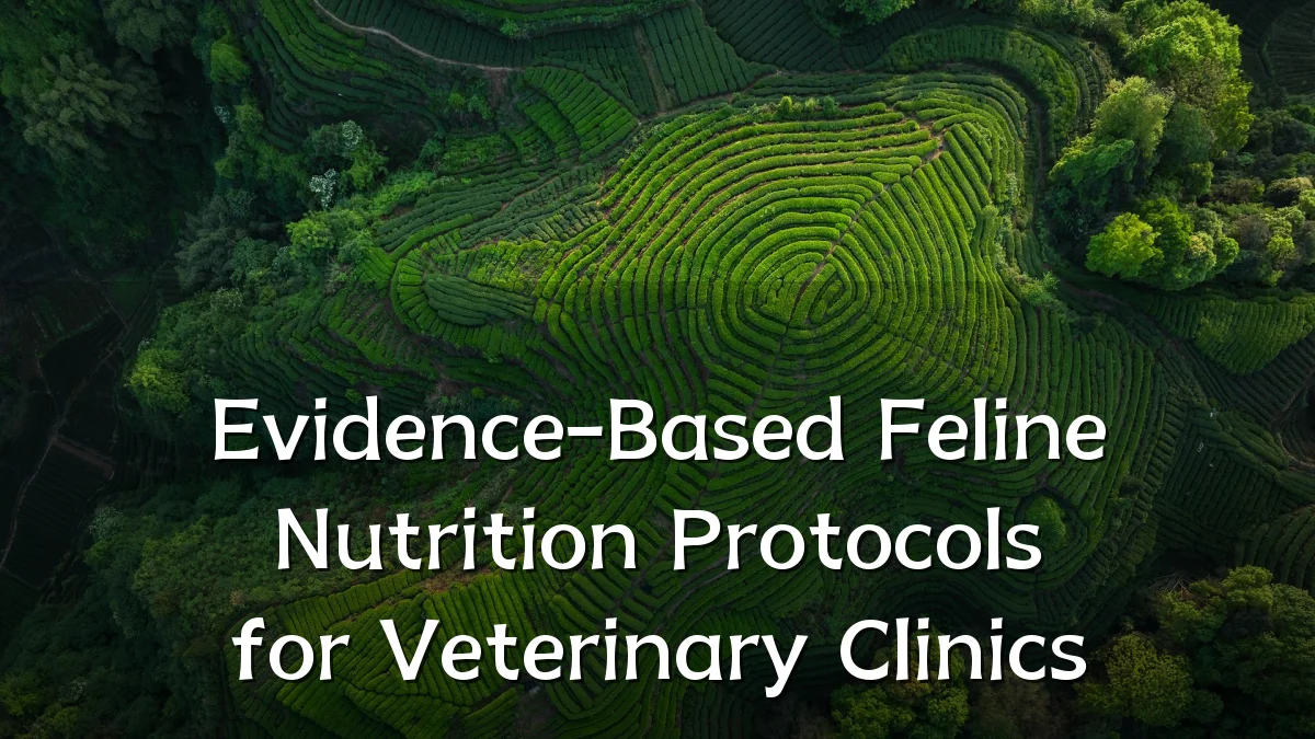 Evidence-Based Feline Nutrition Protocols for Veterinary Clinics